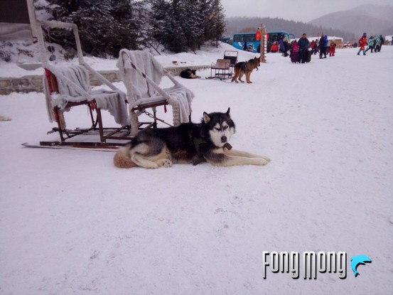 蓝魔mos1max,蓝魔mos1尺寸