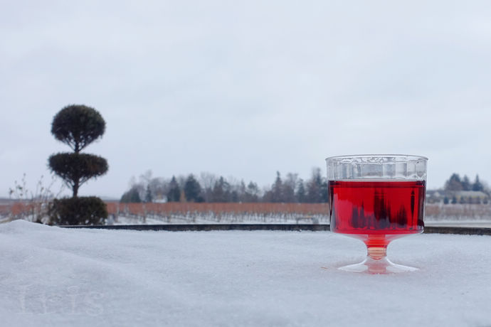 尼亚加拉珍稀冰酒,尼亚加拉冰酒