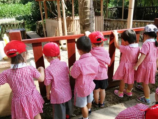 亚龙湾红树林酒店室内玩乐,亚龙湾红树林酒店潜水体验