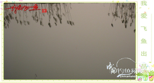 2016之我爱飞鱼觅得好钓点