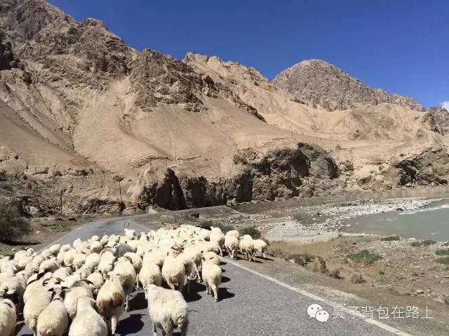 骑行新藏线阿里地区,骑行阿里大北线行程详细攻略
