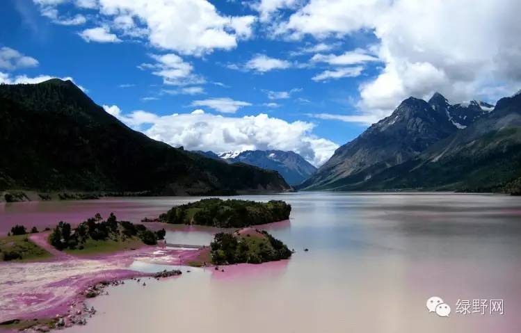 醉美西藏林芝视频,醉美林芝完整版