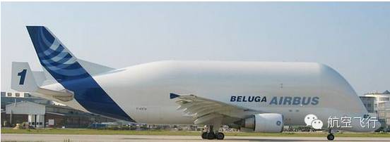 变异变形飞机,变异飞机鹦鹉