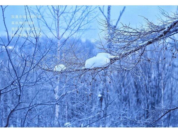 牧马少年歌曲完整版,牧马少年草原