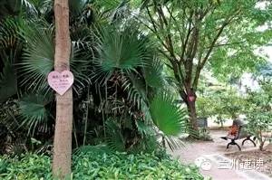 听说你还在家养花花草草实在太OUT了！