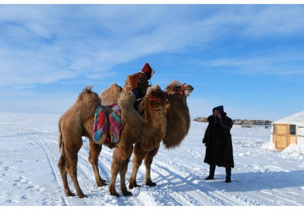 牧马少年歌曲完整版,牧马少年草原