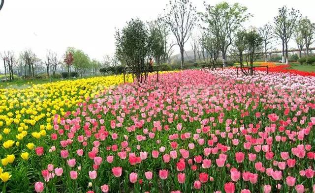 相城区高铁新城在建项目,相城高铁新城扩建