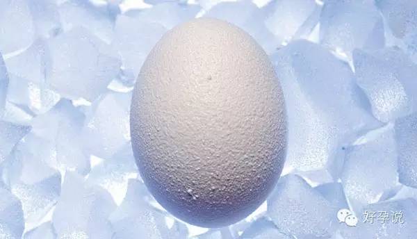 存放十年的胚胎,保存生胚