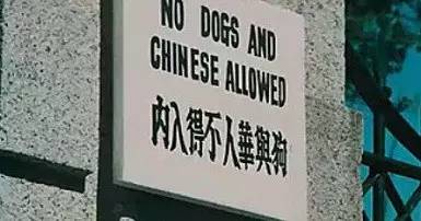 上海内环十大公园,上海黄浦公园风景