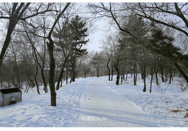 牧马少年歌曲完整版,牧马少年草原