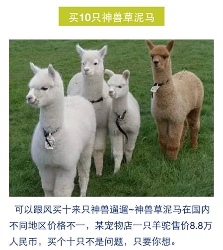 在*安泰**买套房子的钱,出国能干点啥?看完心酸!