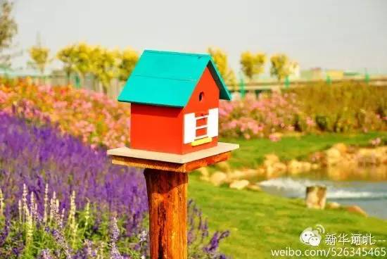 这条飘扬在河北大地的锦绣玉带,真是美爆了