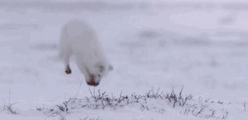 豆瓣9.7的冷门好片，送给每个热爱生命的人