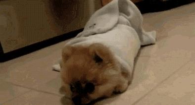 四川有没有凉快的地方,四川很凉快吗