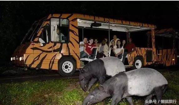 泰国购物必买清单中国品牌,泰国旅游必买品泰国面霜