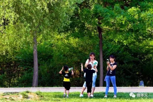 您好您的余额已经不足请及时充值,亲爱的您的假期余额不足