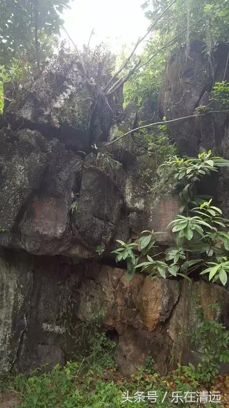 我读书多不会骗你,我读书多不骗你表情包