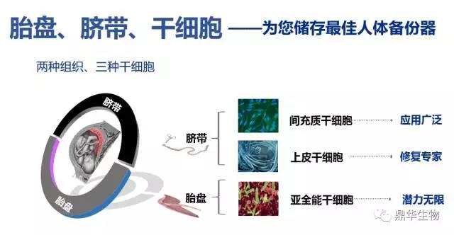 高位截瘫14年再度站立：干细胞治疗离我们有多远？
