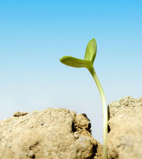 flash怎么制作逐帧动画,flash创意逐帧动画课件