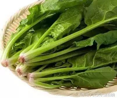 新发地西红柿价格,新发地市场叶菜价格回落