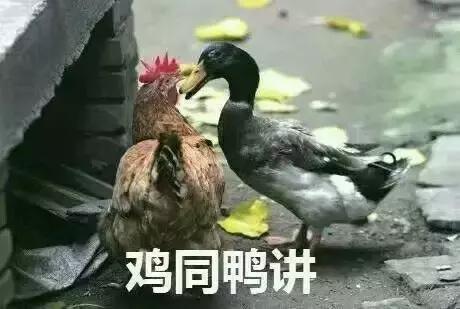 中国有冰箱吗?“美国知乎”现奇葩提问,中国网友又开始花样骗人