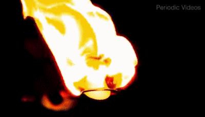 塑料鼻祖竟是自燃之王，“冒充”象牙拯救大象，还烧光了妇女秀发