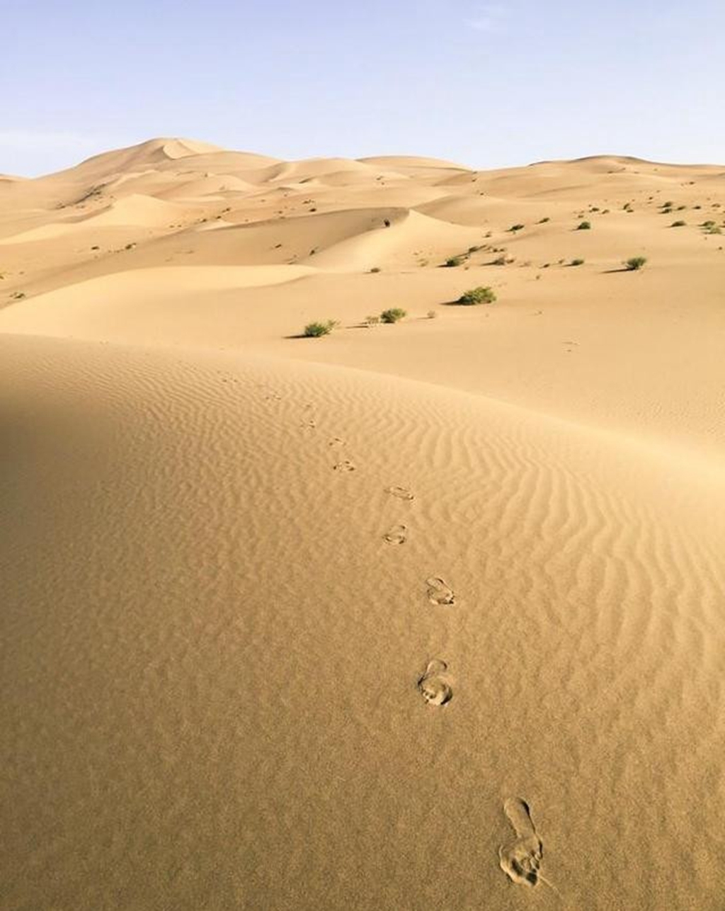 西安到阿拉善左旗自驾游攻略,西安到阿拉善三日游