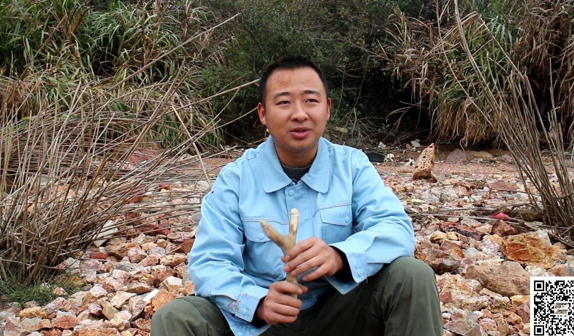 弹弓能不能射大型动物,弹弓能狩猎多远的猎物