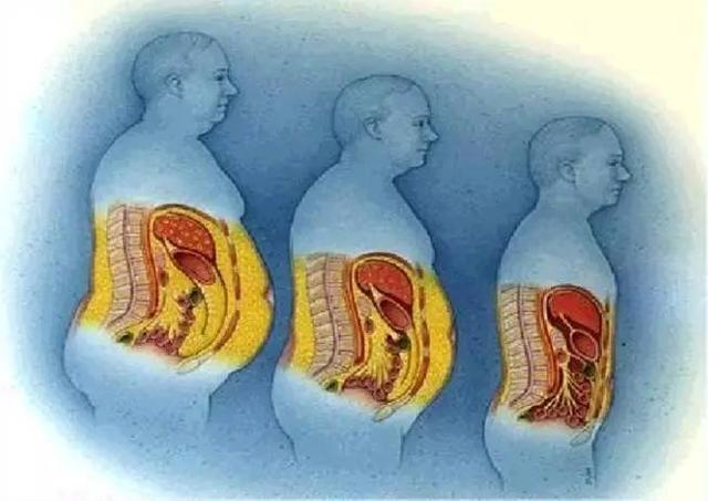 让你夏天拥有小蛮腰马甲线,马甲线大肚腩速成教程