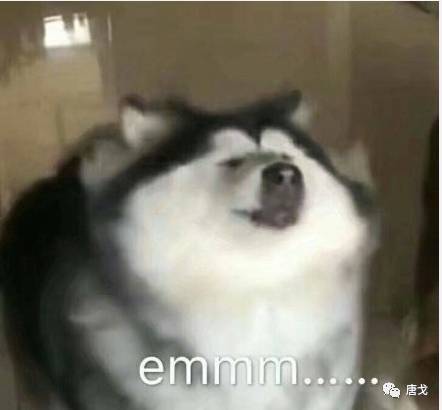 肥唐说,肥唐和阿禾