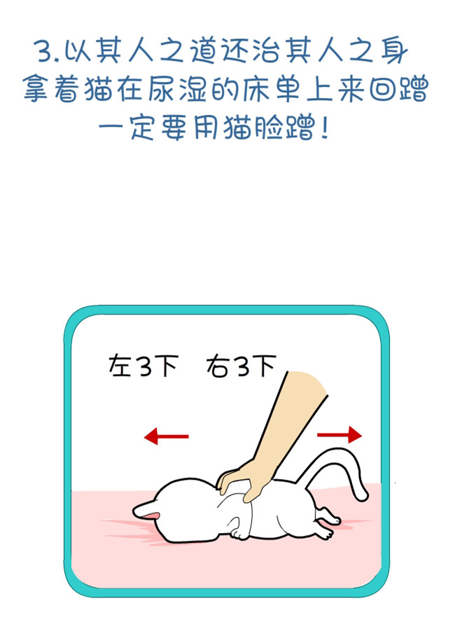 猫咪和铲屎官的幸福生活漫画,猫狗铲屎官漫画