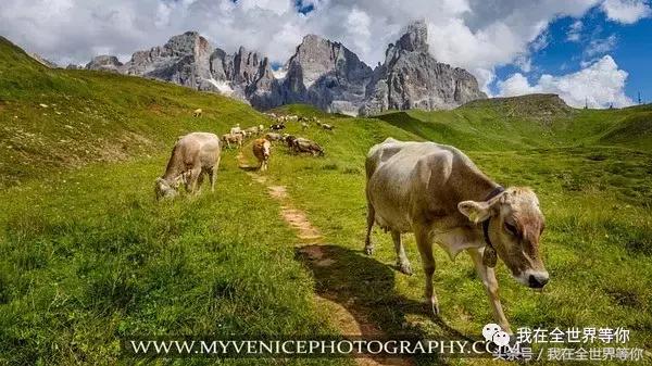 国外婚纱摄影拍摄,海外旅游拍摄婚纱照