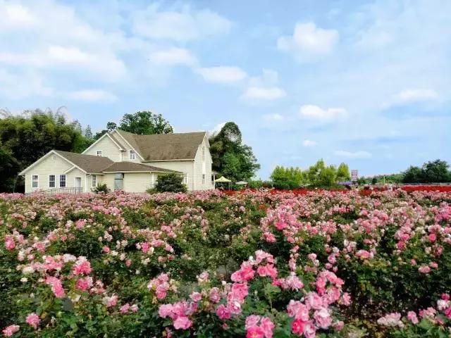 说走就走走遍全中国旅游,说走就走的旅行完整版