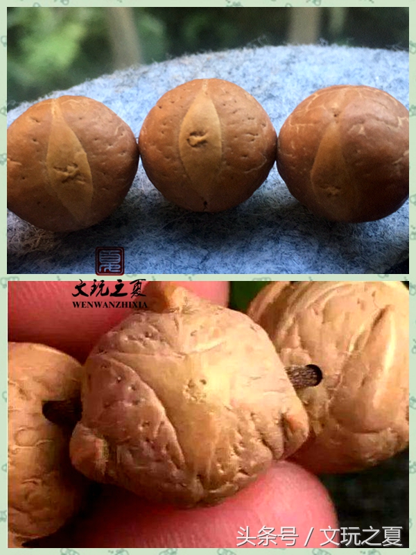 凤眼菩提怎么选最好,老司机揭秘文玩