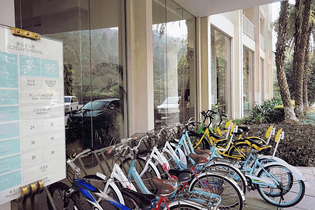 东莞唐拉雅秀酒店早茶,东莞唐拉雅秀酒店前台