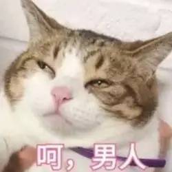 讽刺女人不洁身自好,抨击水性杨花的女人