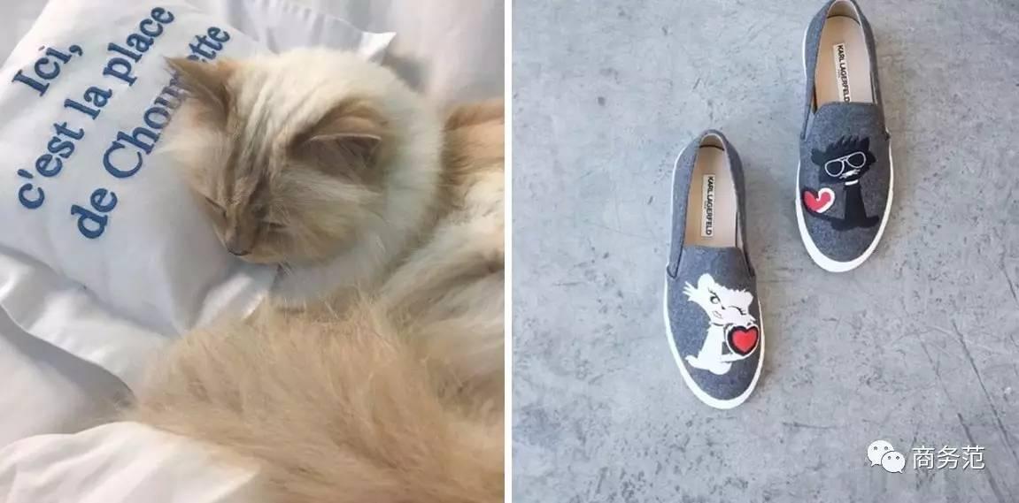 七匹狼广告中的男模特,张震七匹狼广告图片