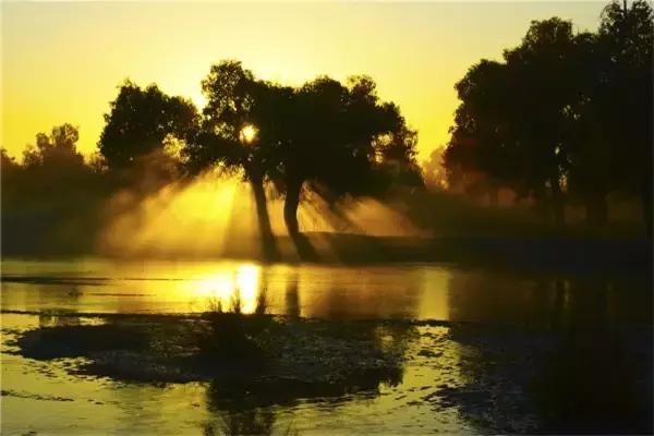 三千年的情缘,三千年的企盼只为这一季的金秋(附攻略)