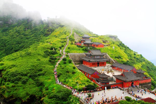 天天有人去山上采蘑菇,每天来观看的游客上万人