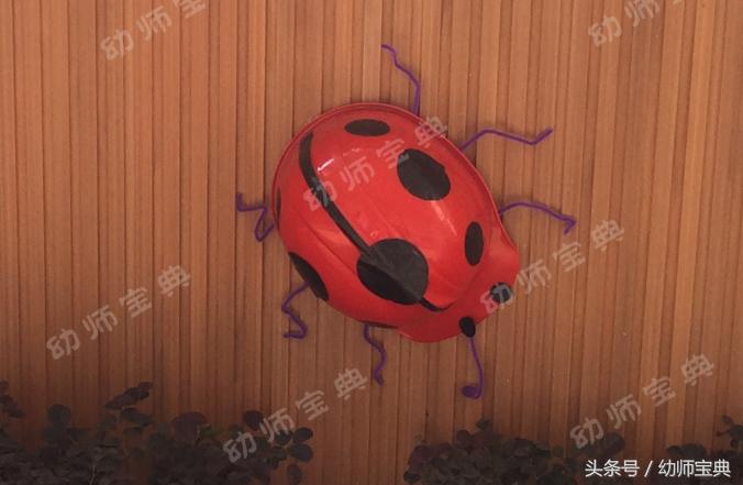 自然角创设分布图,自然角布置幼儿园