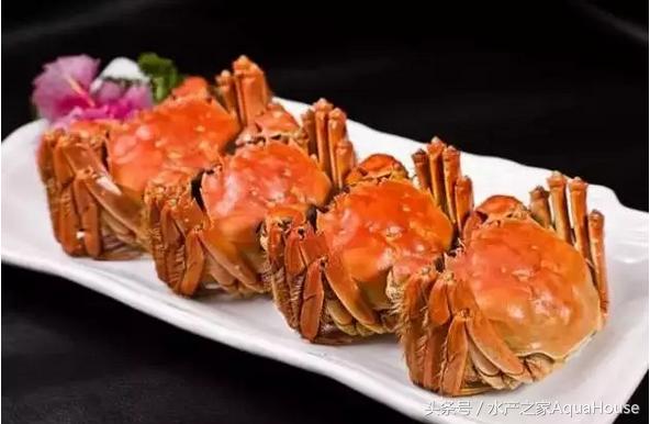 8月水产品价格表,7月水产品批发市场价格简报