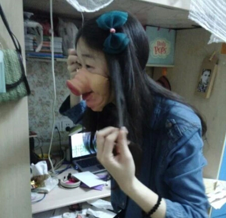 猫咪搞笑段子笑死人不偿命,笑死不偿命下铺搞笑段子