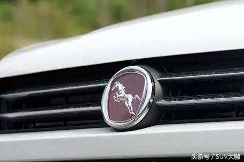 车标代表动物有什么车型,车标是一只奔跑的动物