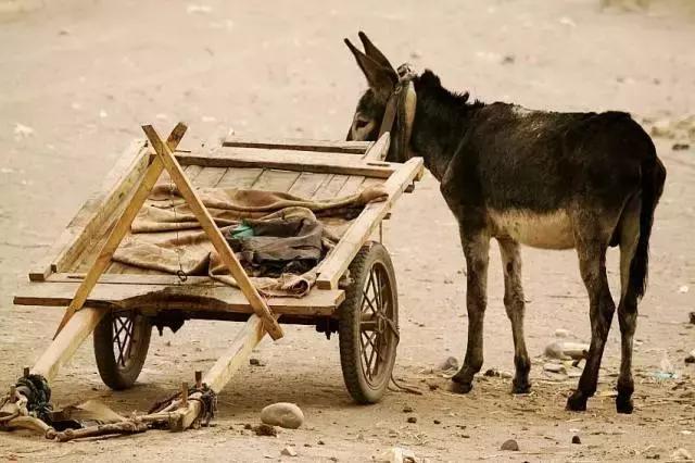 e药早报｜星期六：2016年医院次均门诊费用245.5元