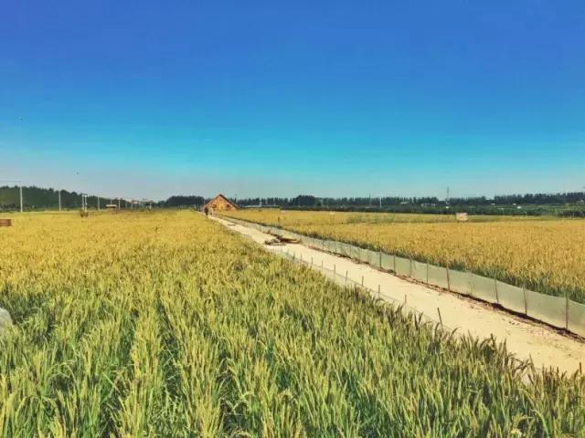 农民找不到耕地确权怎么办,失地农民可以申请宅基地吗