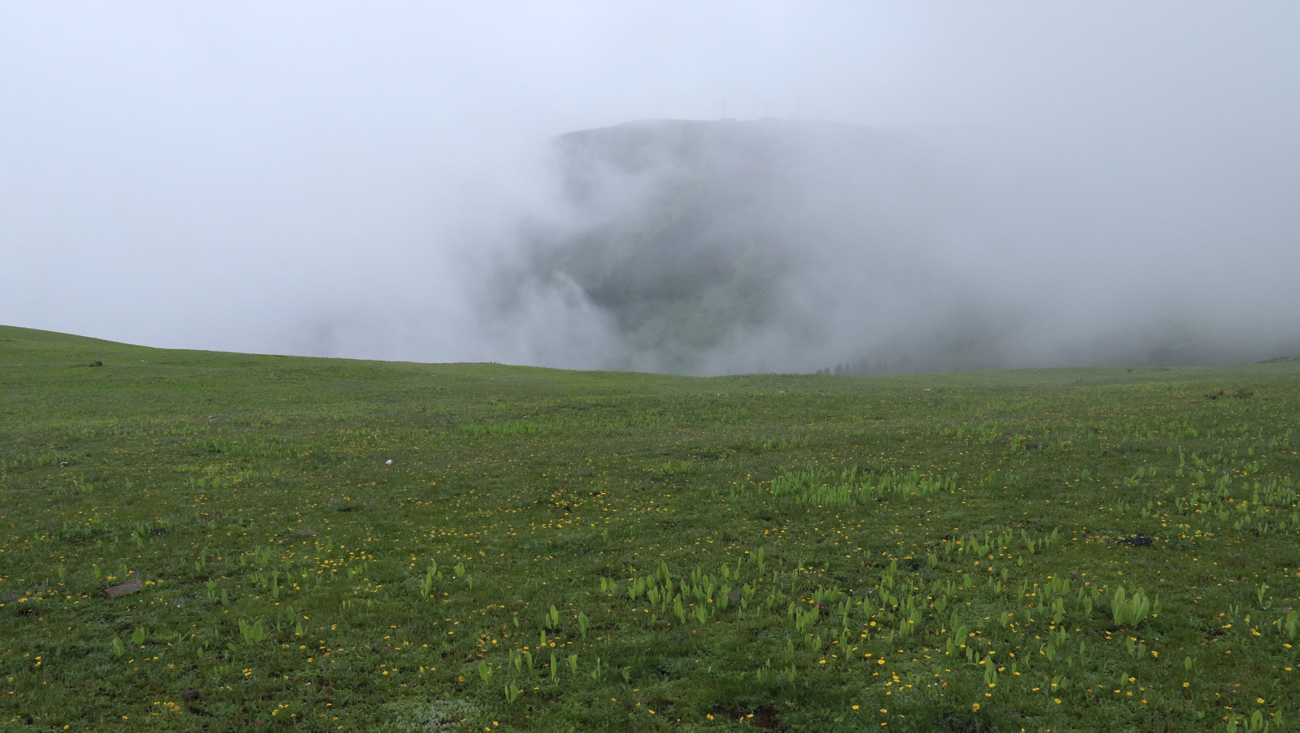 川藏自驾游巴塘至芒康,西藏芒康至丽江泸沽湖旅行