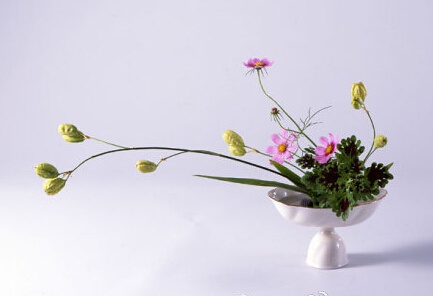 论花艺,不得不服日本