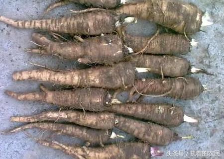 农村返乡创业的真实详细经历,曾经被众人看不起的穷小伙后续