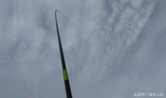 20块钱的黑塘，3个人1天收获50多条鱼，这次钓鱼很爽