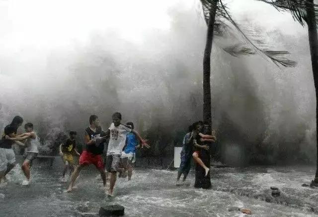 台风“帕卡”如期而至,菜价终于全线上涨,广州江南0827菜价